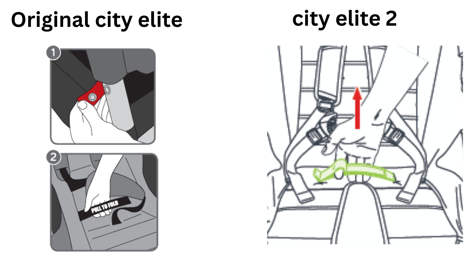 elite vs elite 2.jpg